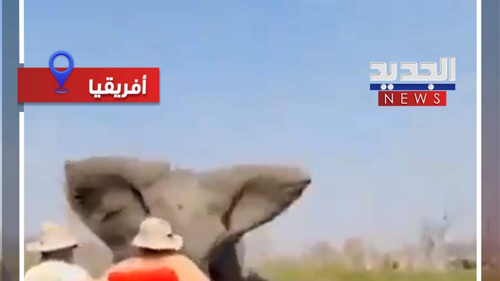 أنثى "فيل" تهاجم قارباً (فيديو)
