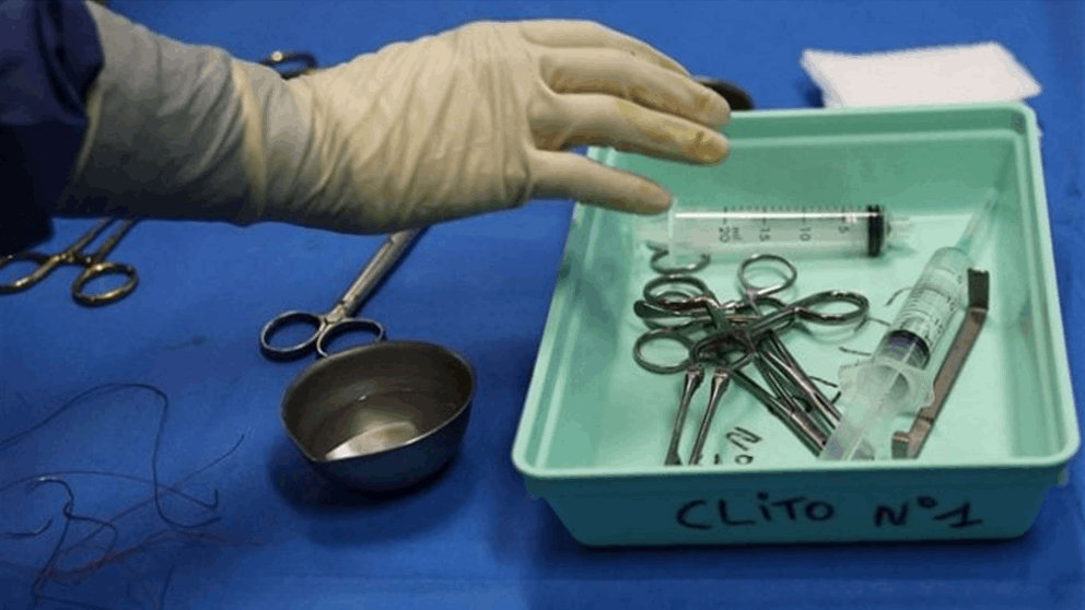 للمرة الأولى.. كبد خنزير في جسد إنسان 