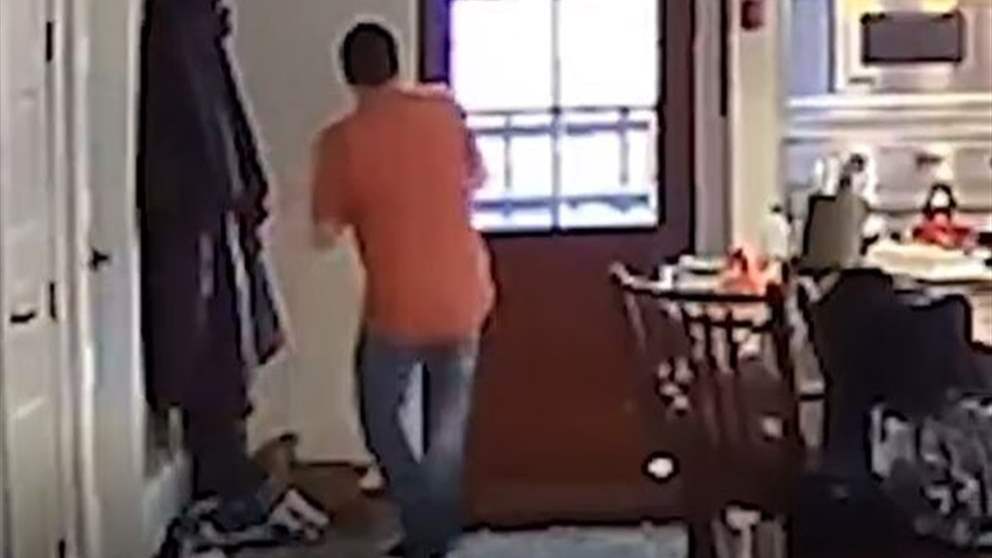 بالفيديو: طائر اقتحم المنزل.. فترك زوجته وهرب! 