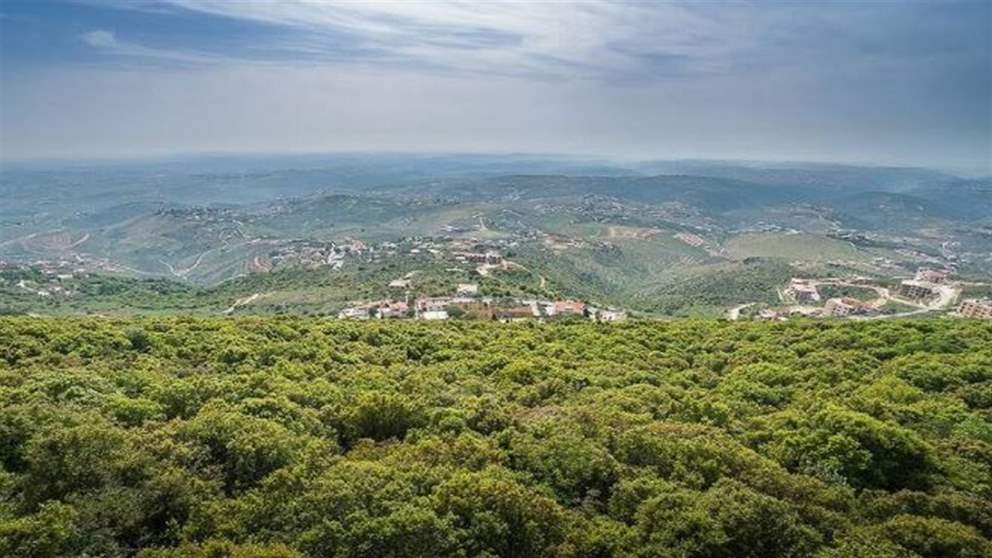 تكتّم شديد.. و"حزب الله" سيطلب ضمانة عربية؟ (نداء الوطن) 