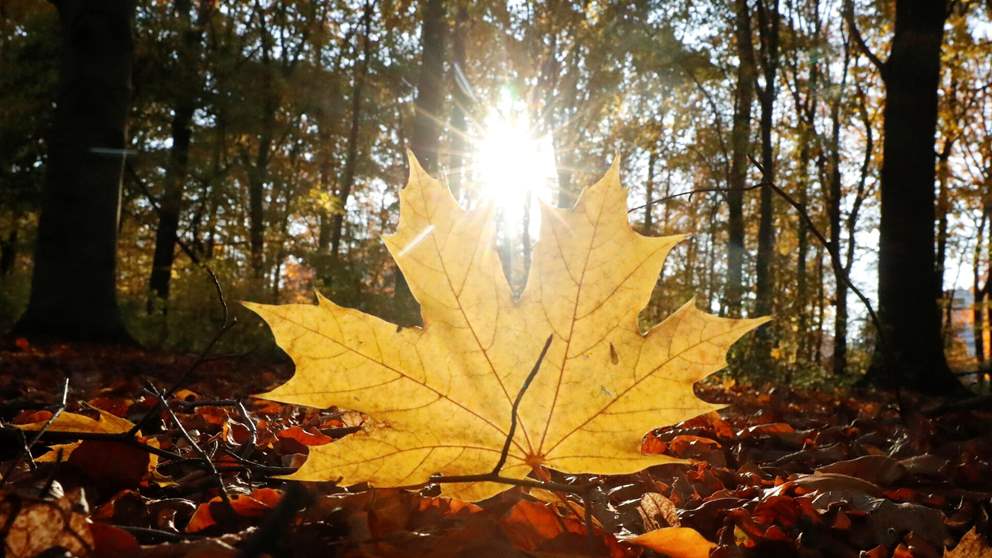 "صيف تاني"... ماذا يخبئ طقس الأيام المقبلة؟ 