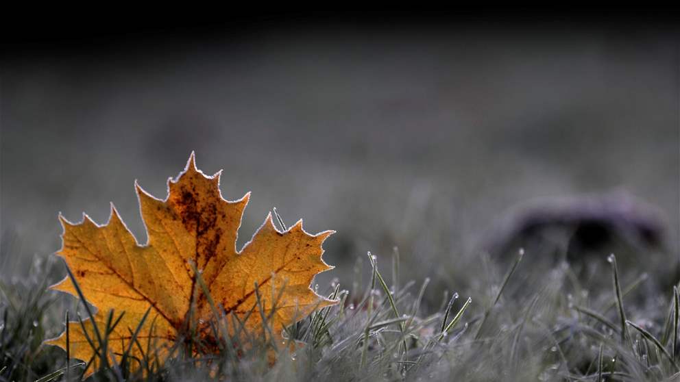 أجواء باردة ليلاً.. إليكم توقعات طقس الـ"ويك اند" 