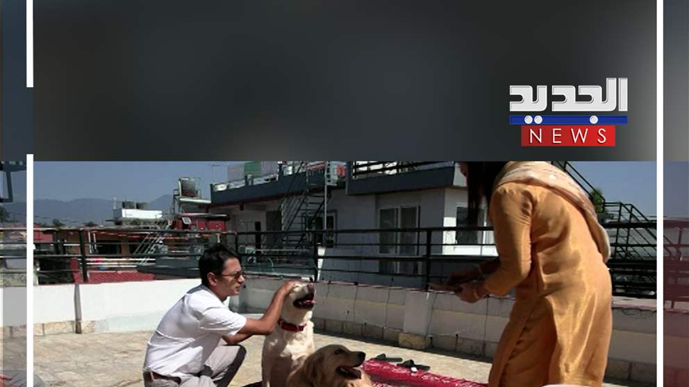 مهرجان تكريمي للكلاب! (فيديو)