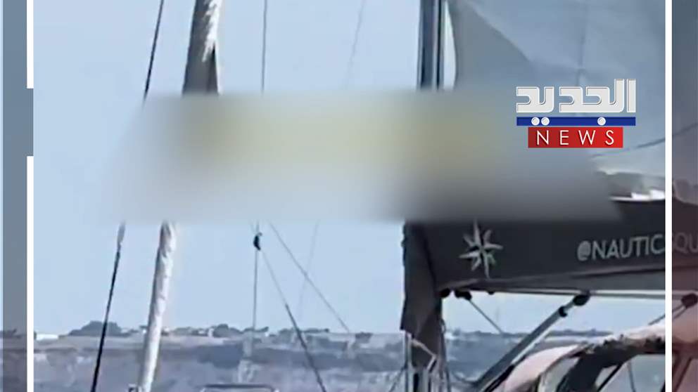 حيتان تُغرق قارباً! (فيديو)