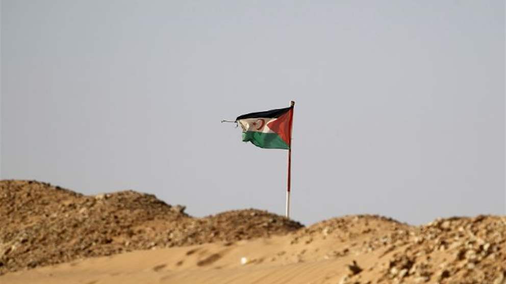 حكم ذاتي في الصحراء الغربية.. مجلس الأمن يُصوّت