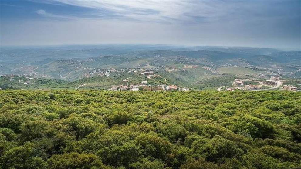 نائب في "حزب الله": الدولة مطالبة بتحمّل مسؤولياتها في الحماية والإعمار