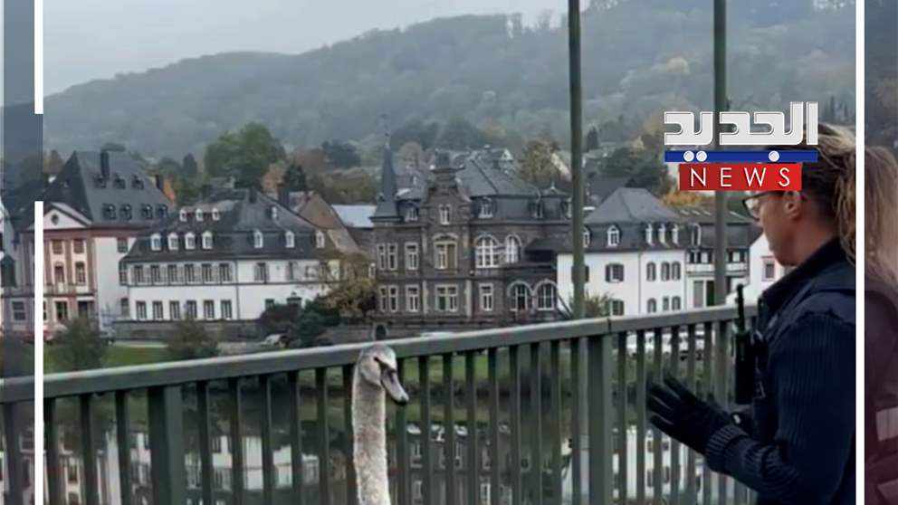 مطاردة طريفة"..الشرطة الألمانية تُلقي القبض على إوزة (فيديو) 