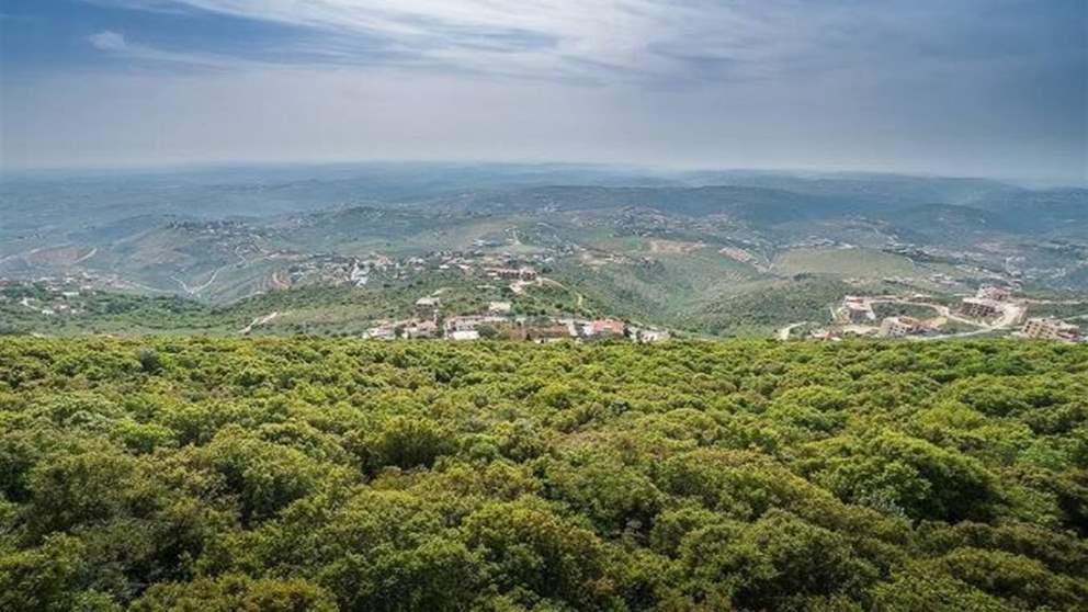 وفد البنك الدولي في جولة جنوب لبنان! (صور)