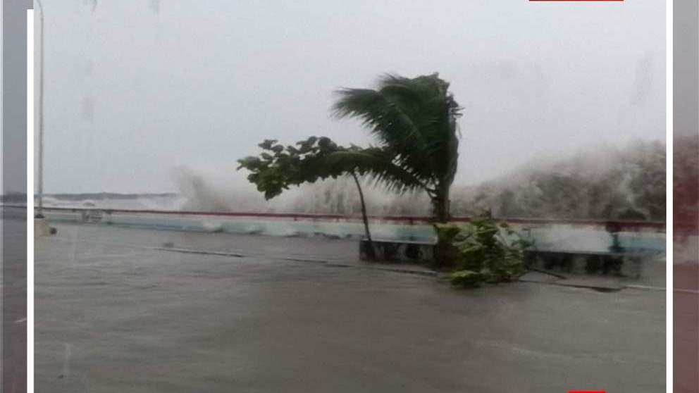 امواج عملاقة (فيديو)