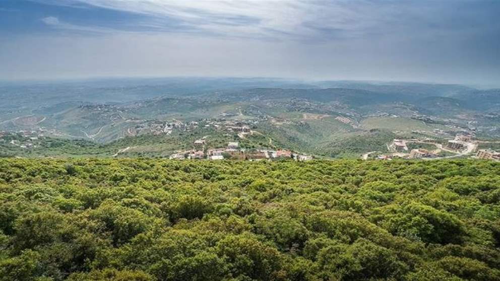 قيادي في "حزب الله": لن نُسلّم السلاح لأن..!