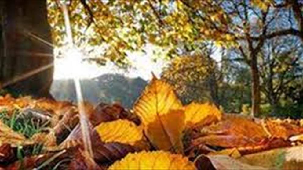 خريف متقلب.. هل من شتاء على الأبواب!