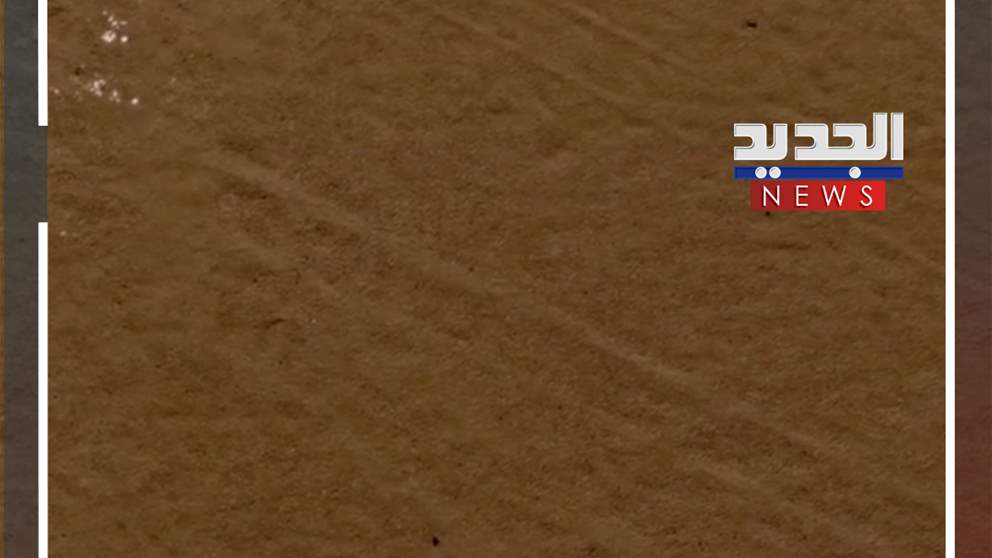 ظلال تسير في الصحراء! (فيديو)