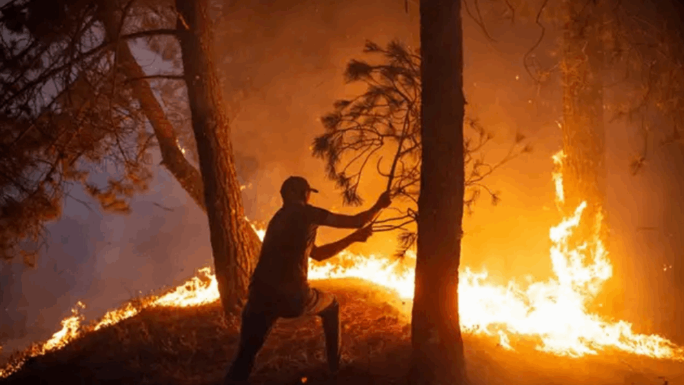 النيران تلتهم أكبر غابة للصنوبر المثمر في الشرق الأوسط! (فيديو)
