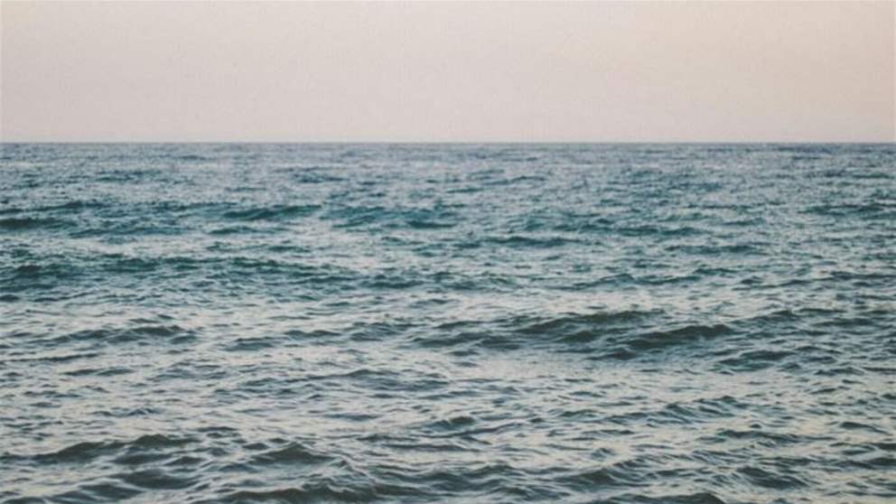 "دخلوا بطريقة غير شرعية".. سوريا تُسلّم 17 مواطناً لبنانياً! 