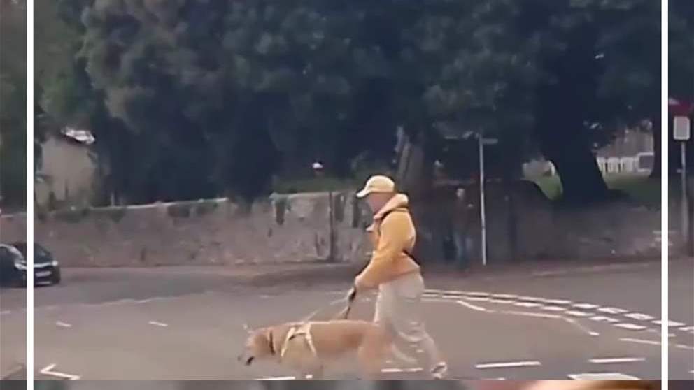 كلب ينقذ صاحبه الأعمى (فيديو)