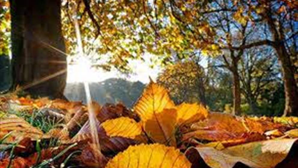 طقس لبنان… هدوء ما قبل العاصفة