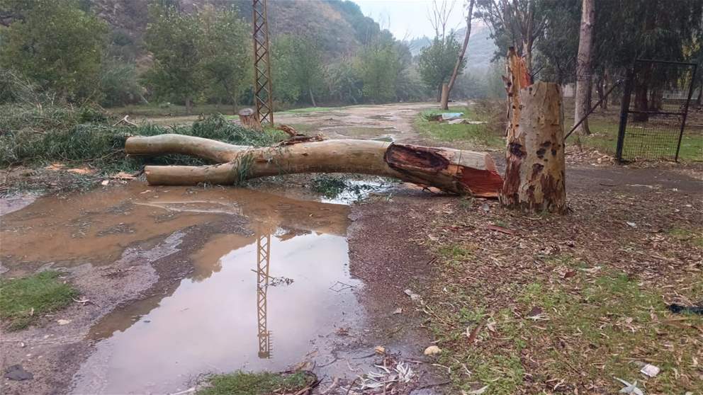 جريمة بيئية ليلًا في الليطاني والمصلحة تتحرّك