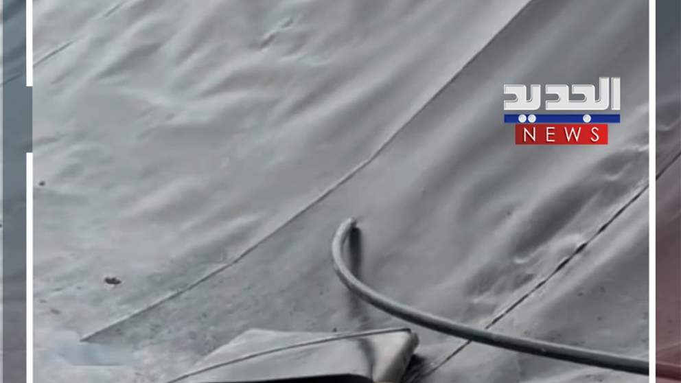 علقوا في بركة اصطناعية.. إنقاذ 4 كلاب (فيديو)