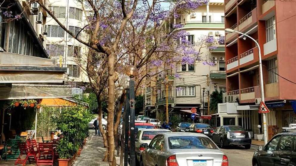 مراسلة الجديد تواكب أجواء الميلاد في بدارو 