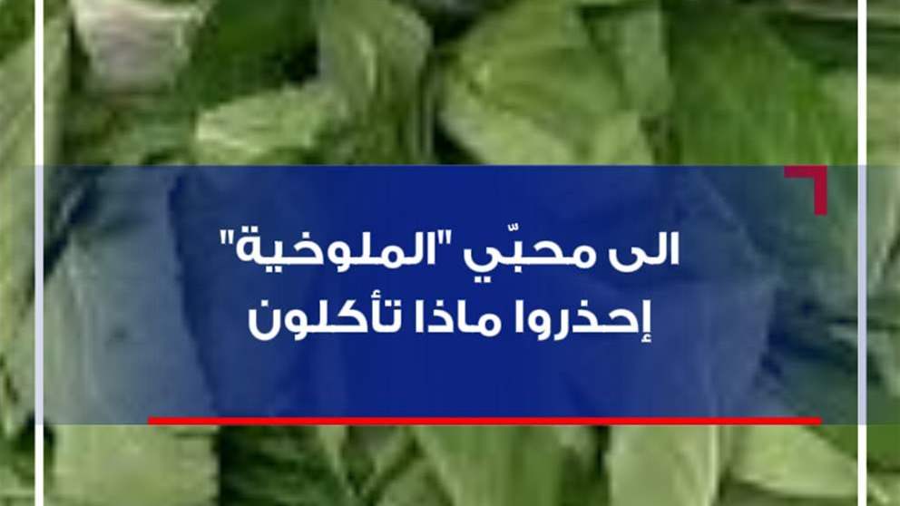 إلى محبّي "الملوخية".. احذروا ماذا تأكلون! (فيديو)