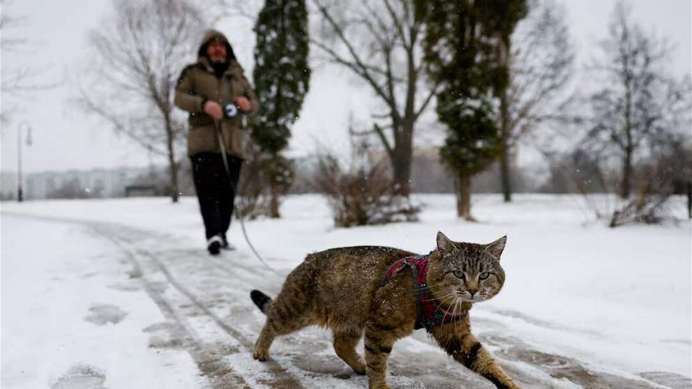 بالفيديو: البرَد يكسو الأرض بياضًا 