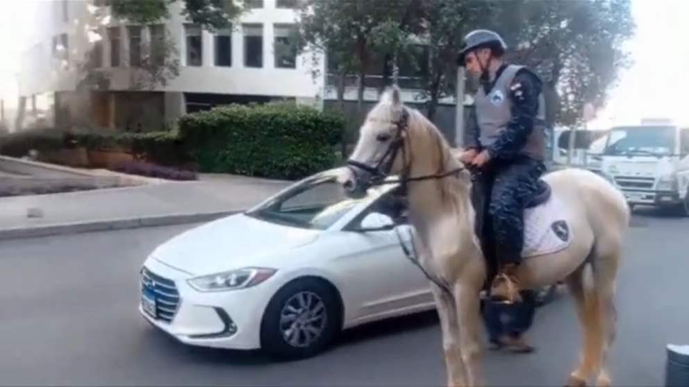 بهدف ضبط المرور.. دوريات على الحصان (فيديو)