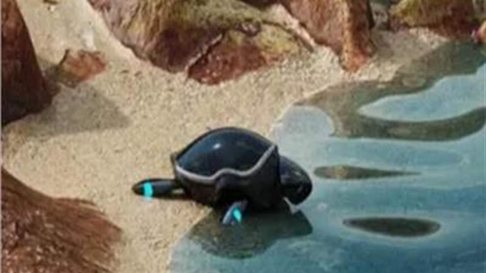 روبوت السلحفاة - شاهد الفيديو