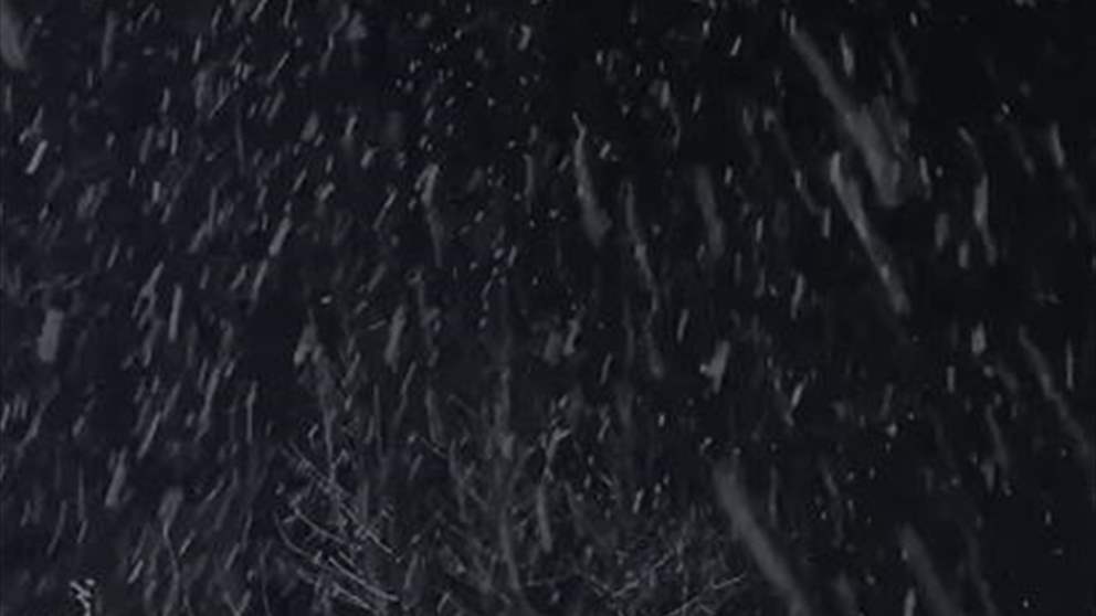 تساقط ساحر للثلوج في أعالي بعلبك - شاهد الفيديو