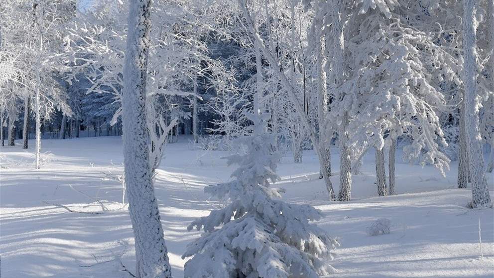 بالفيديو.. الثلوج تُغطّي ضهر البيدر