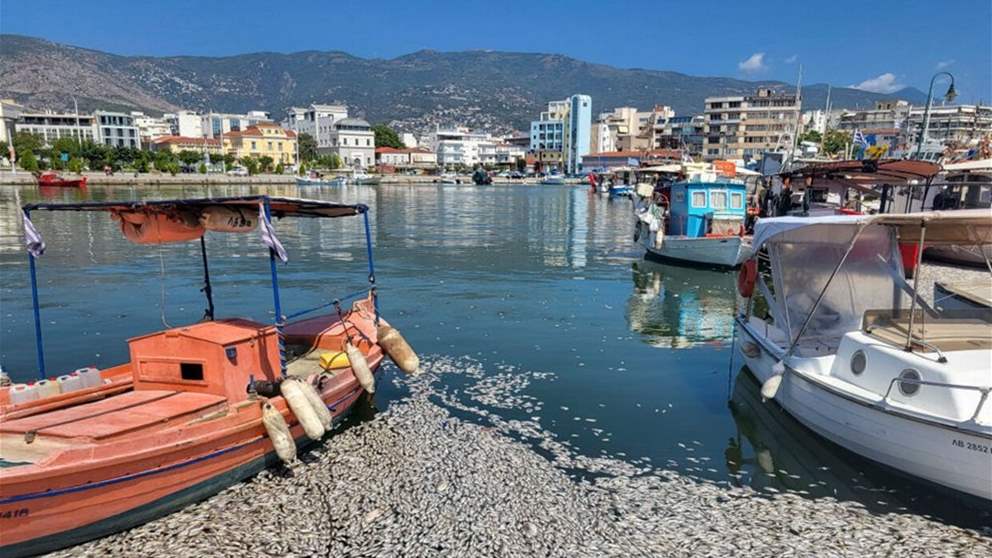 صيادو مرفأ العريضة تحت تهديد مياه النهر الكبير (فيديو)