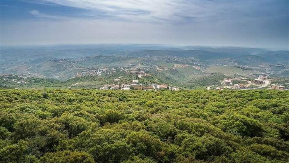 "لا يُمكن لـ اسرائيل".. نائب في "حزب الله": الأوهام ستسقط! 