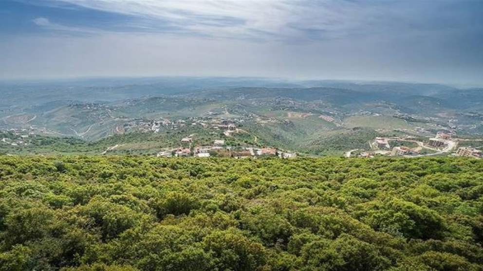 "مجلس مدني اسرائيلي - لبناني مشترك وتحكّم بحركة الجيش".. اسرائيل تشترط! (المدن)