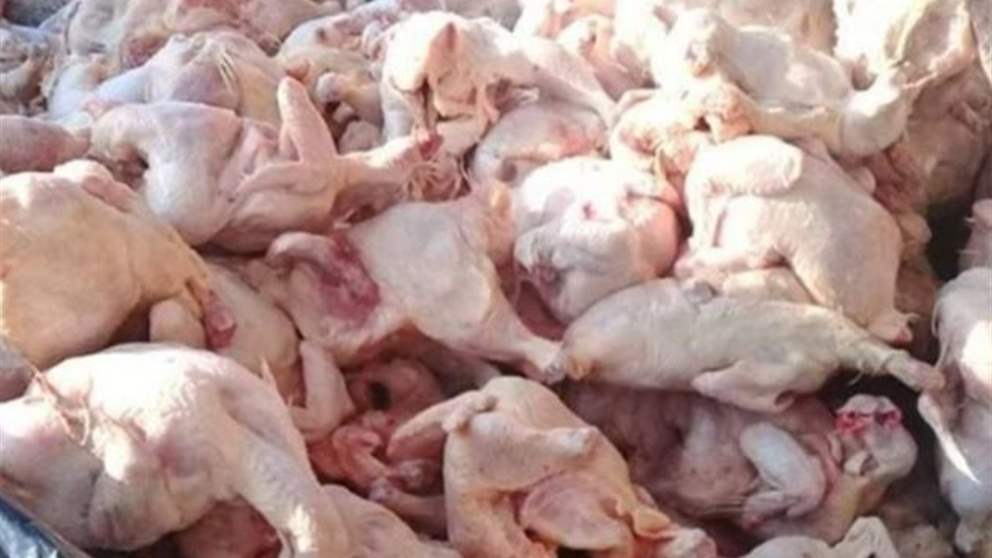 بعد تقرير "الجديد".. قوى الأمن تضبط مستودعيْ دجاج فاسد! 