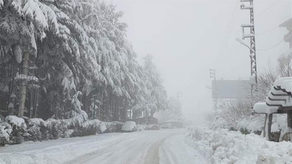 "أمطار متفرقة وبرد ورعد".. نهاية أسبوع باردة! 