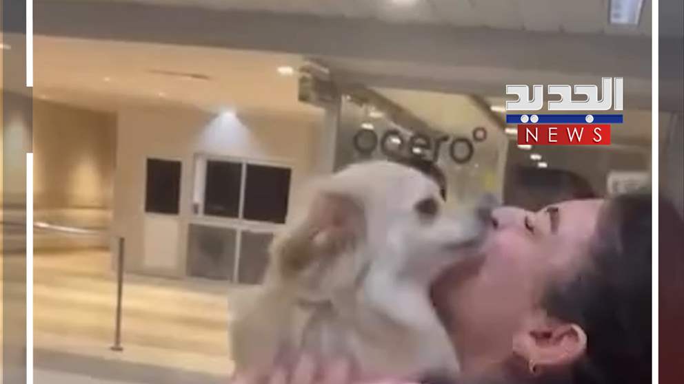 في مطار بيروت.. إستقبال "لطيف" من كلبة! (فيديو)