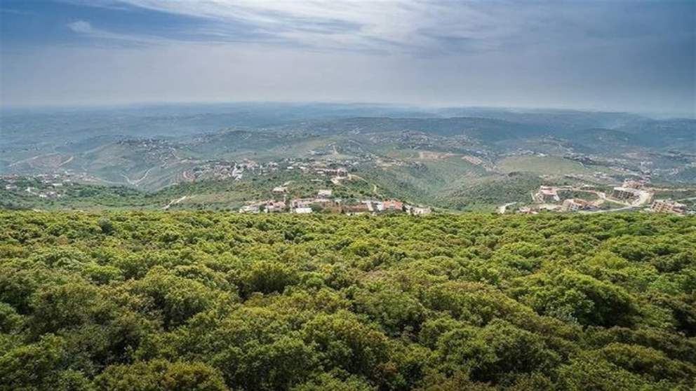 بلبلة بعد "خطاب قاسم".. والاعمار مقابل السلاح! 