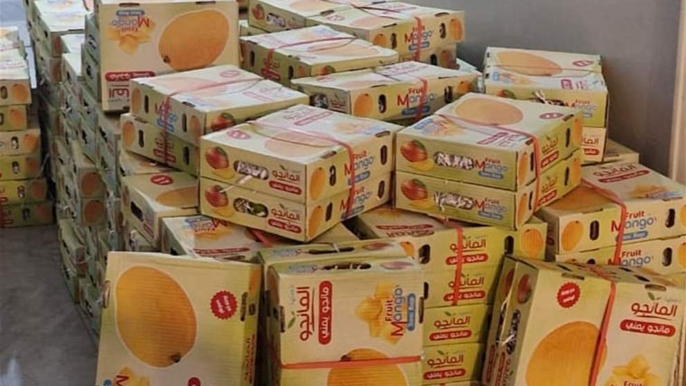 في الشمال.. مانغا مهربّة بقبضة الجمارك