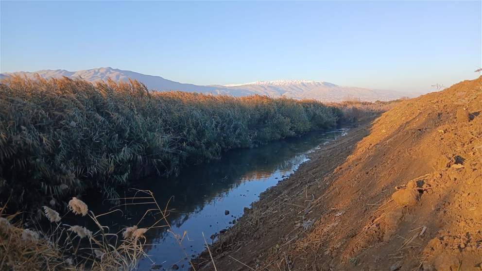 نهر أسود في البقاع (فيديو)