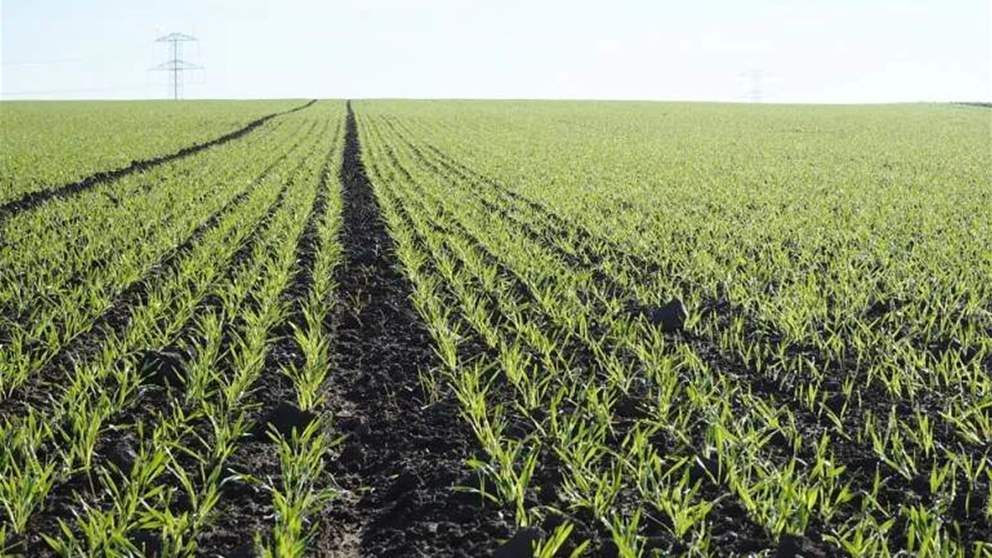 القرى الجنوبية تواجه تهديداً بمادة سامّة… وفتح تحقيق عاجل