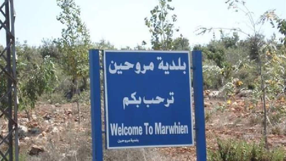 مبيدات سامة على الجنوب؟ مراسلة الجديد تعاين (فيديو)