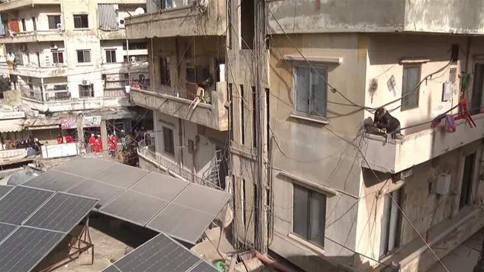 وزيرة الشؤون الاجتماعية في طرابلس.. مراسلة الجديد تواكب الحدث - شاهد البث المباشر