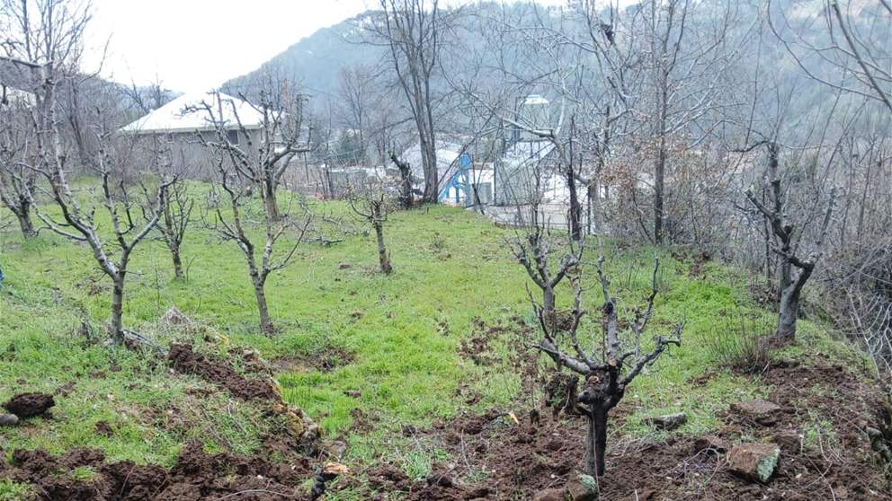 بالفيديو.. أضرار في مرج بسكنتا - المتن الشمالي بعد سقوط شظايا