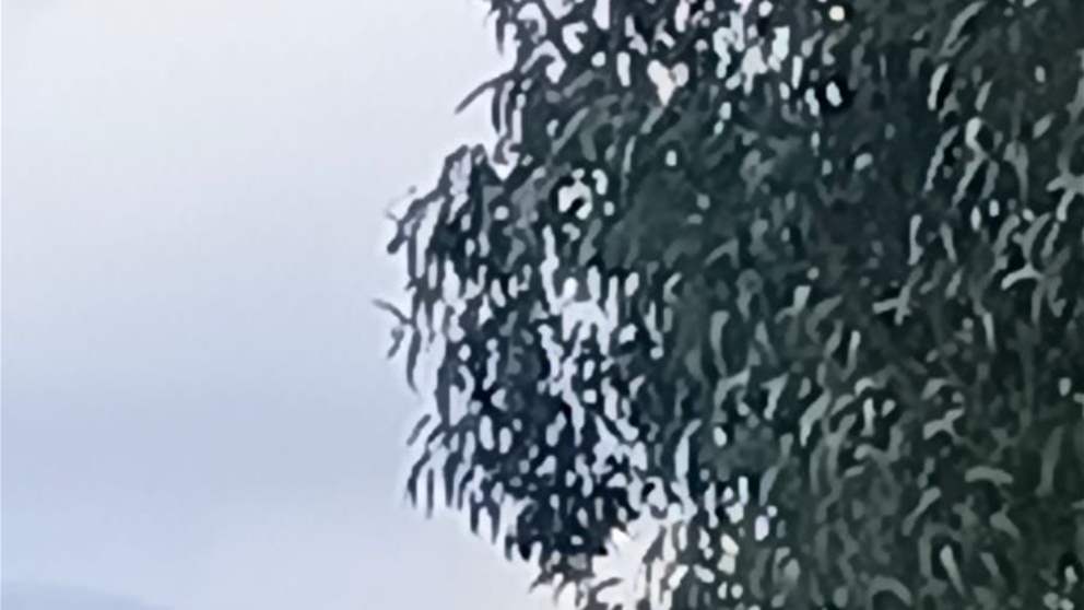 مراسل الجديد : غارة على حبوش قضاء النبطية (صور)