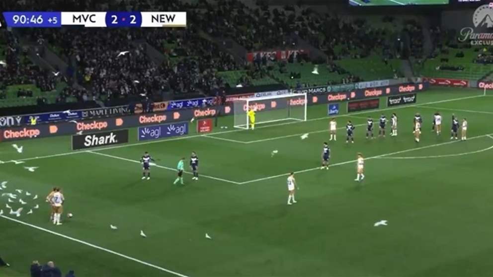 فيديو - الطيور تغزو الميدان في مشهد نادر