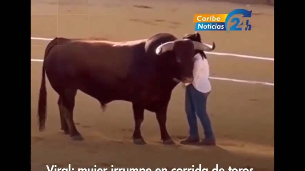 فيديو - سيدة تقتحم حلبة المصارعة وتعانق الثور