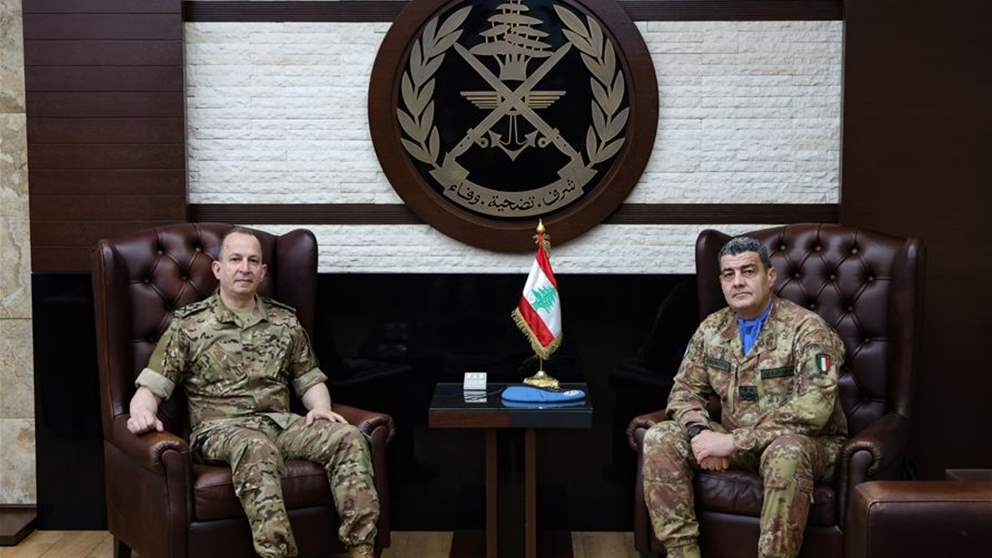 هيكل يستقبل رئيس بعثة اليونيفيل.. وهذا ما دار في الاجتماع