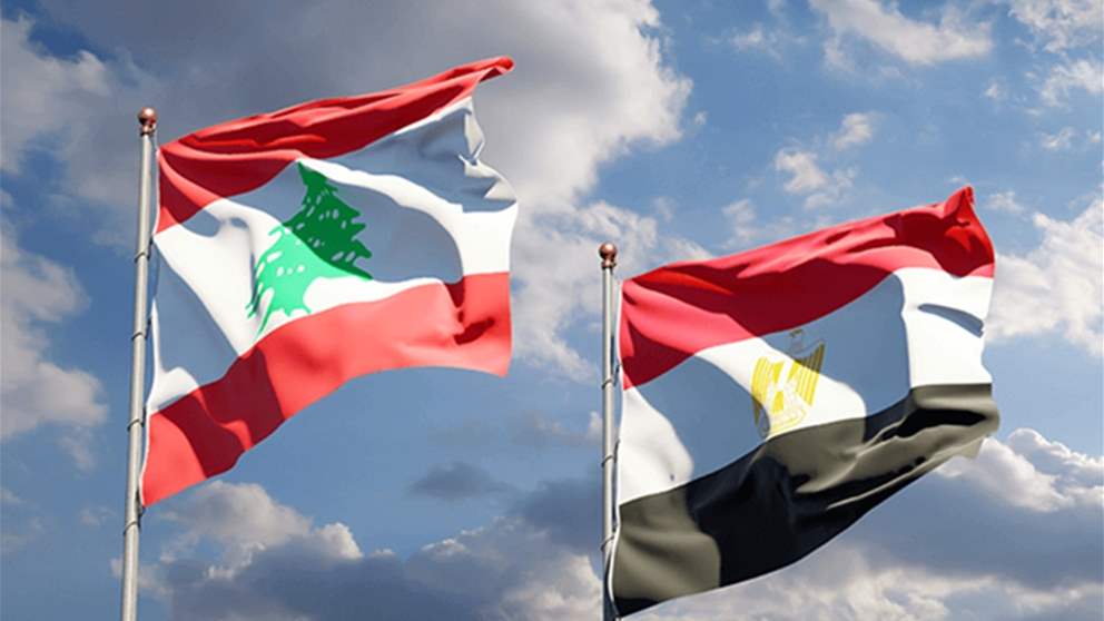 فيديو - تحية لبنانية في المطار بعد تأهل مصر