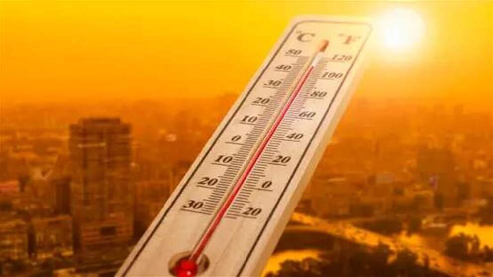 موجة حر شديدة.. وزارة الزراعة: إحذروا وإتبعوا الإرشادات