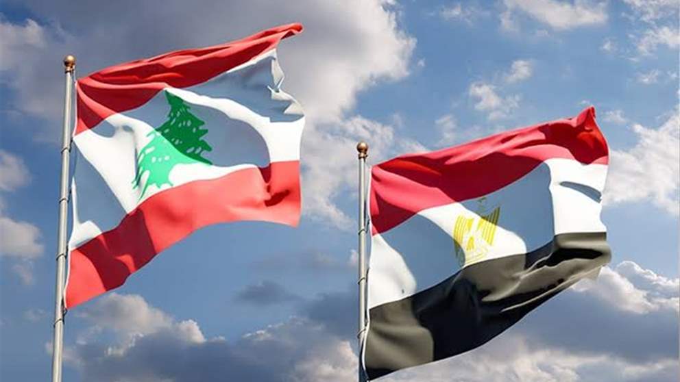 10 أطنان من الأدوية المصرية إلى لبنان دعماً للقطاع الصحي
