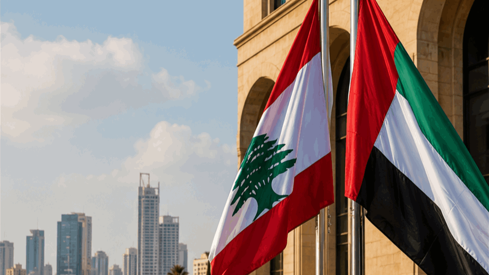 رسالة دعم إماراتية الى لبنان (فيديو)